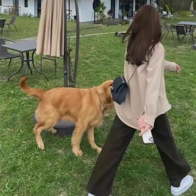 英女皇